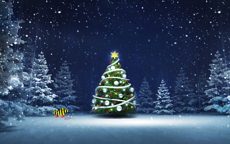 Weihnachten bei Tiger und Bär